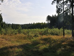 _G172823